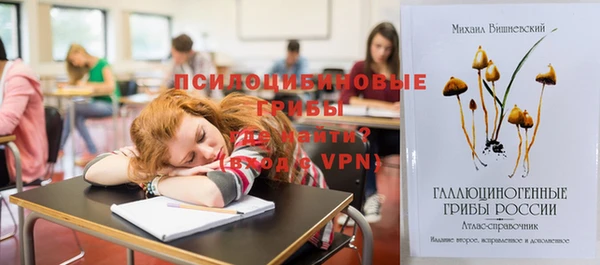 Альфа ПВП Вязьма