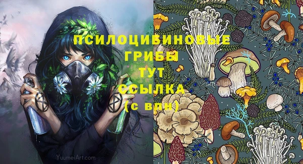 Альфа ПВП Горно-Алтайск