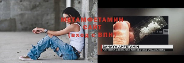 шишки Коряжма