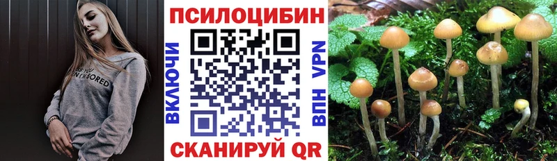 купить наркотики цена  Ивдель  Галлюциногенные грибы GOLDEN TEACHER 